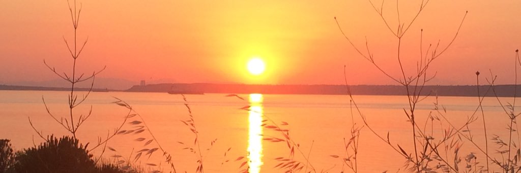 pLtKyKc's profile banner image