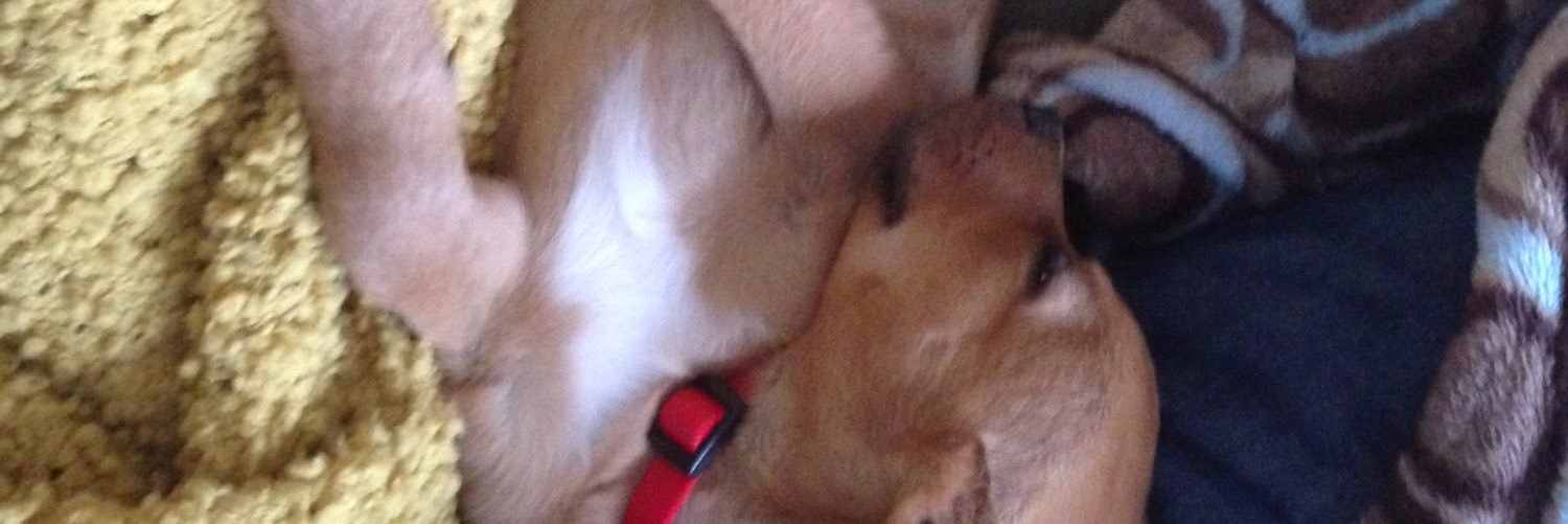 Mitch Fletcher banner