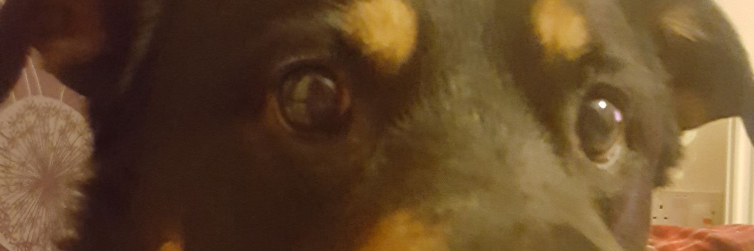 murphyest1983's profile banner image