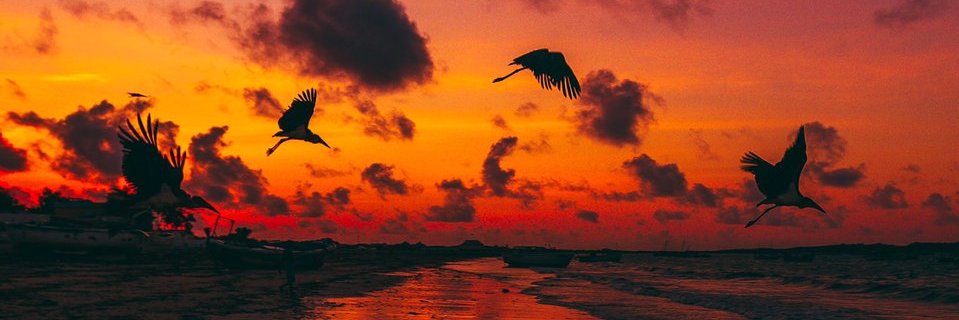 Yususoz's profile banner image