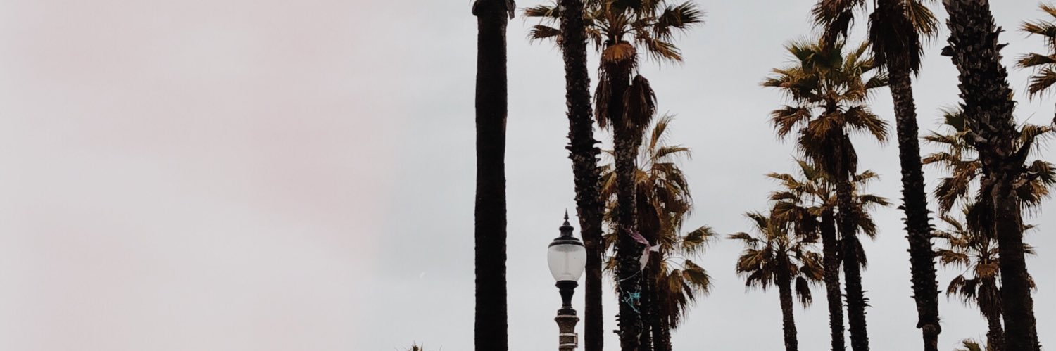 Tay_Gasser's profile banner image