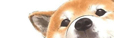 ttoonjuu's profile banner image