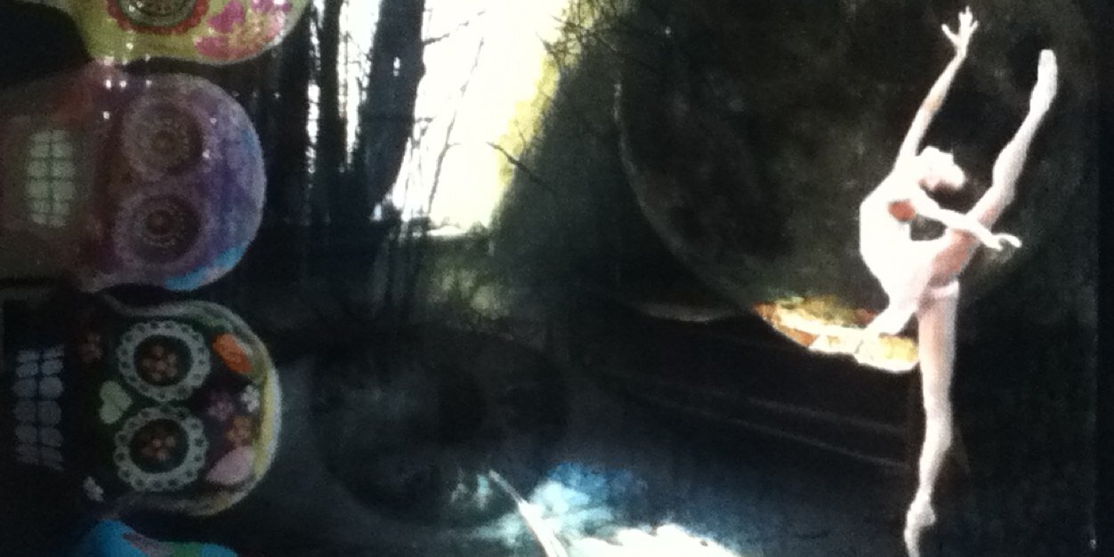 Nayanelli's profile banner image
