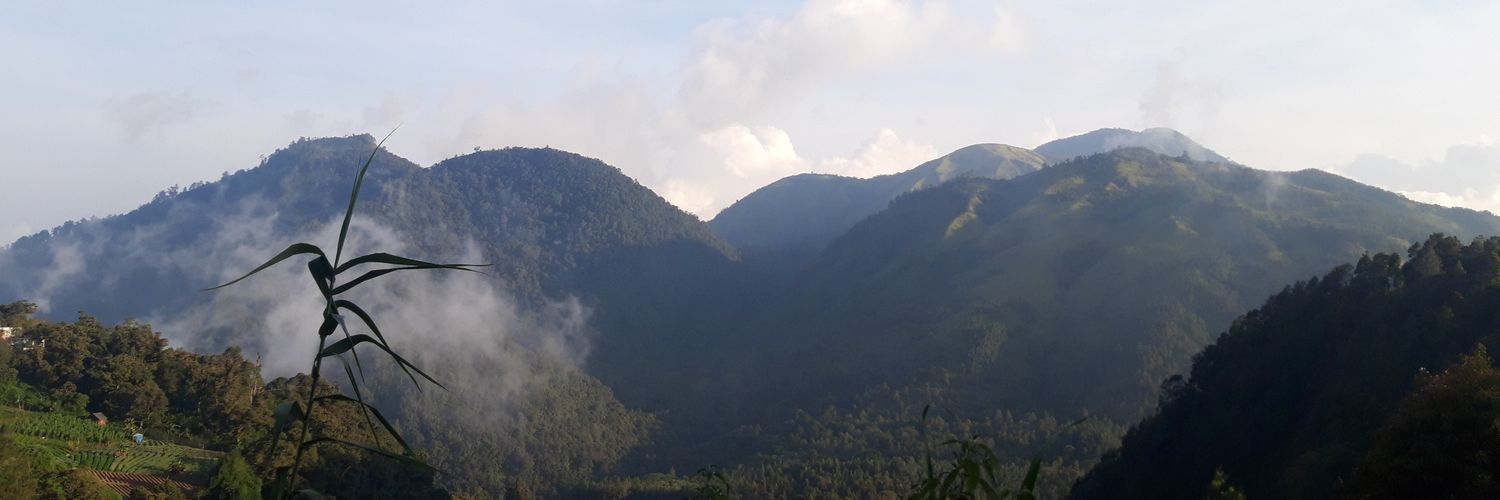 intanayu's profile banner image
