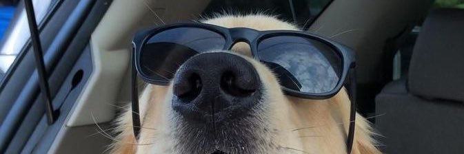 DanGlezCol's profile banner image