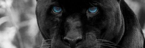 mohammadfadi77's profile banner image