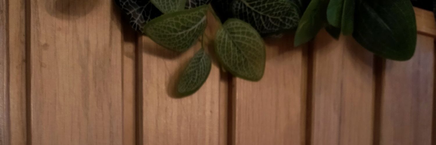 nadhrosli's profile banner image