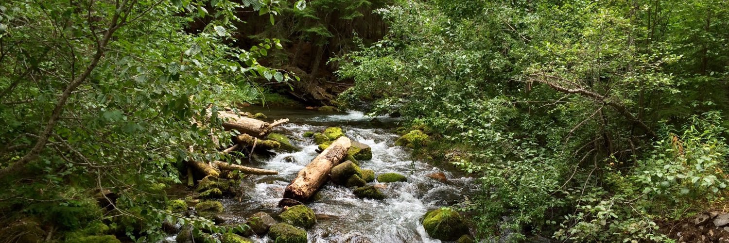 Colorado Greenhorn - we can all do something! banner