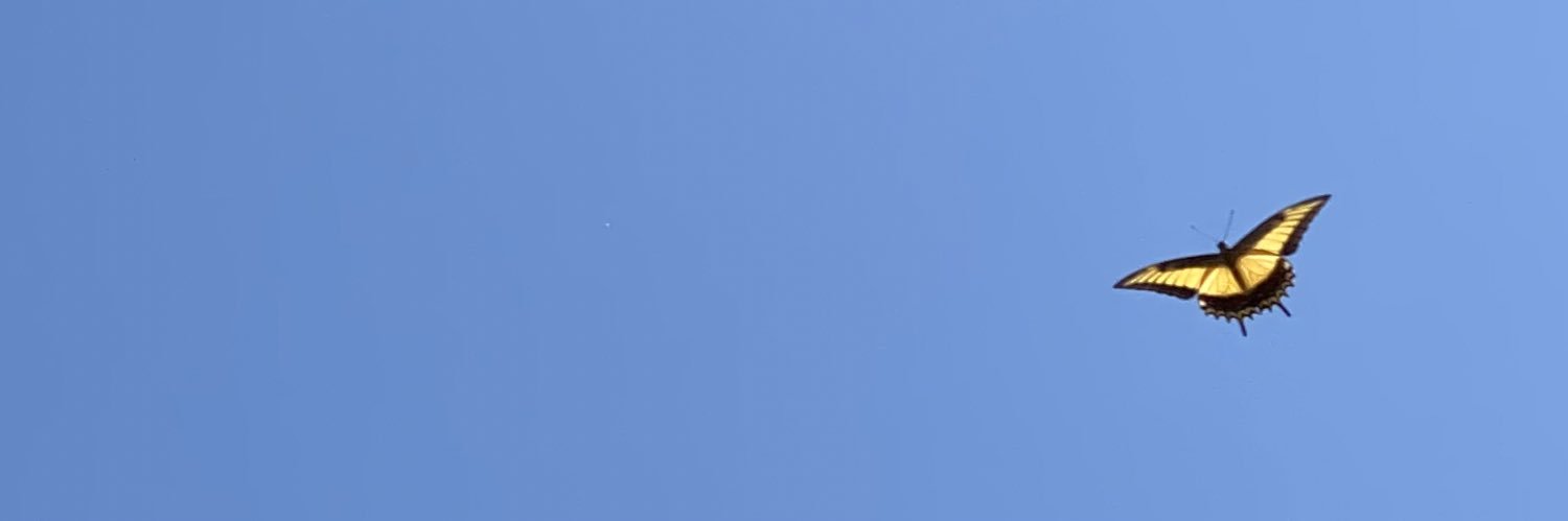 marlenepena_'s profile banner image