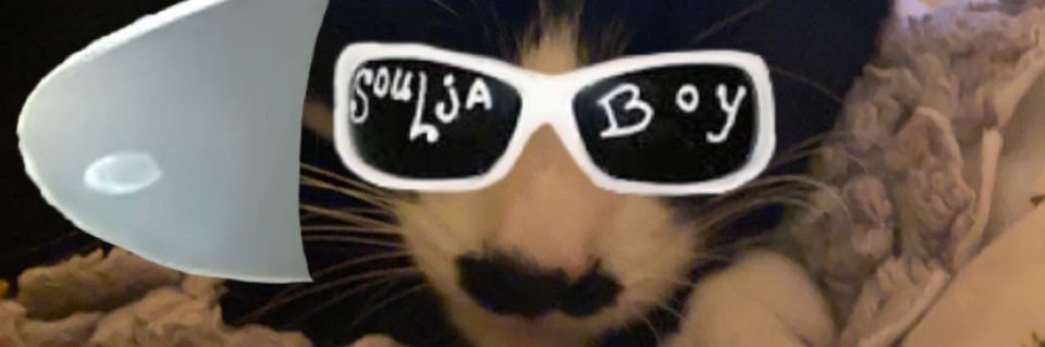 KayleeeBalll's profile banner image