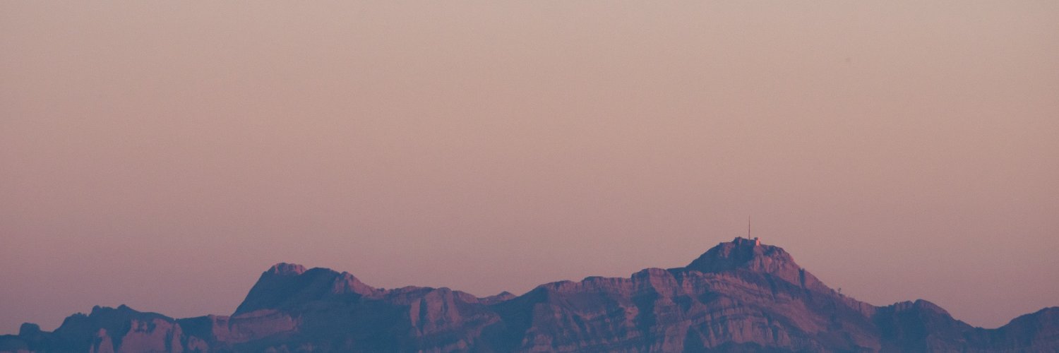 mark lee banner
