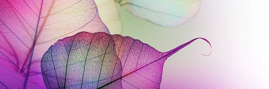 GEDcompany's profile banner image