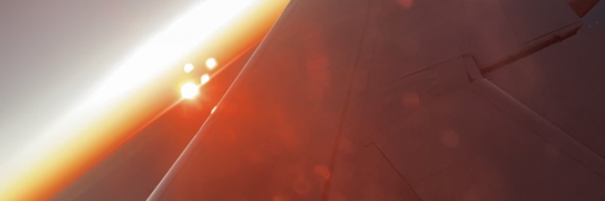 torilynnmarch's profile banner image