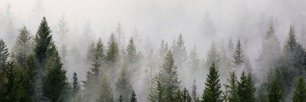 errent_here Profile Banner