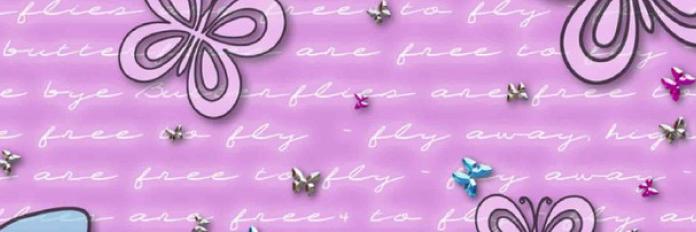 warriorbtrflies's profile banner image