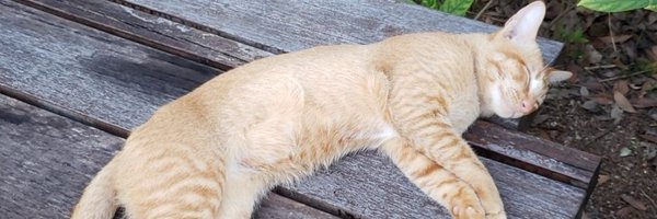 CMGS1988 Profile Banner