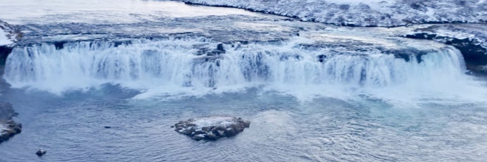 Lucia Schiavi banner