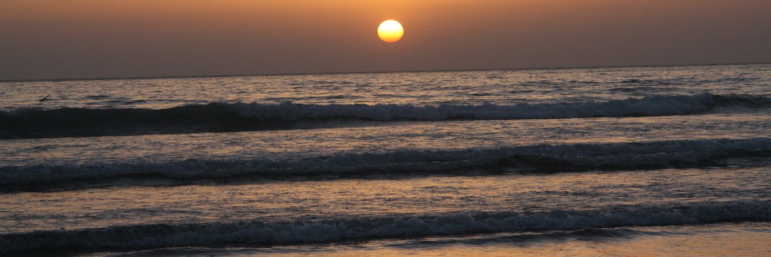 Sabīne Apine-Tauriņa banner