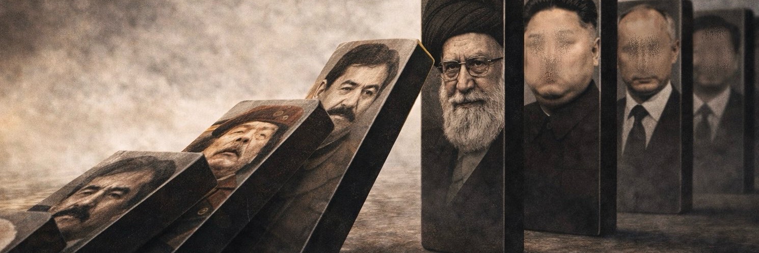 Sofia Afonso Ferreira banner