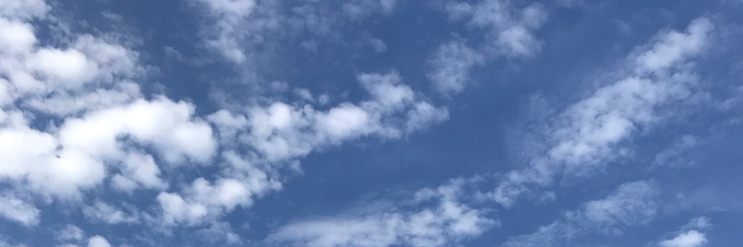 freellyf's profile banner image
