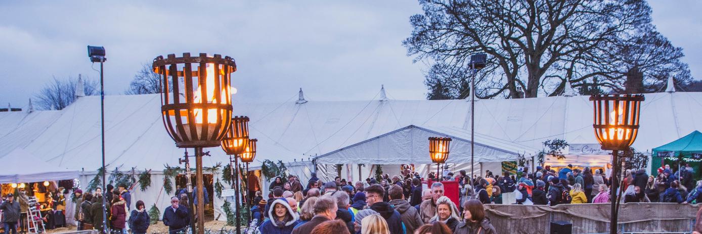Ludlow Medieval banner