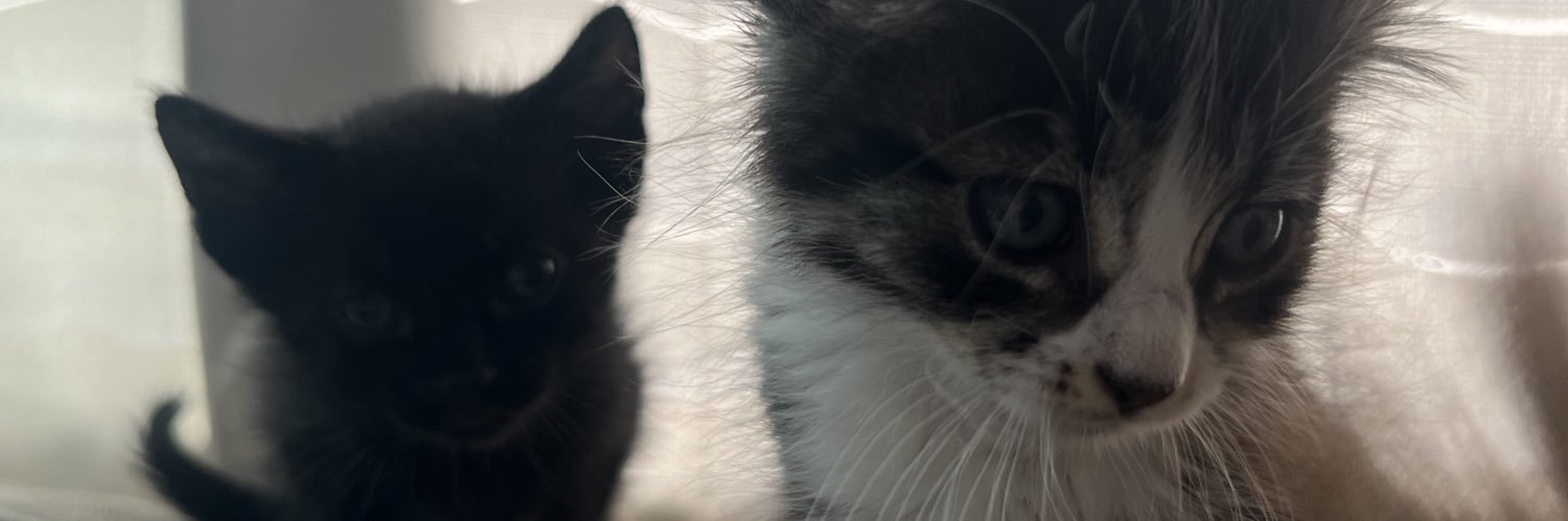 sofhiaxmarie's profile banner image