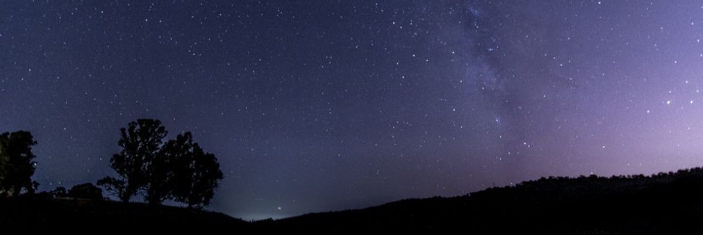 praew21star's profile banner image