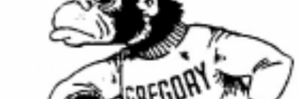 GorillaHoops Profile Banner