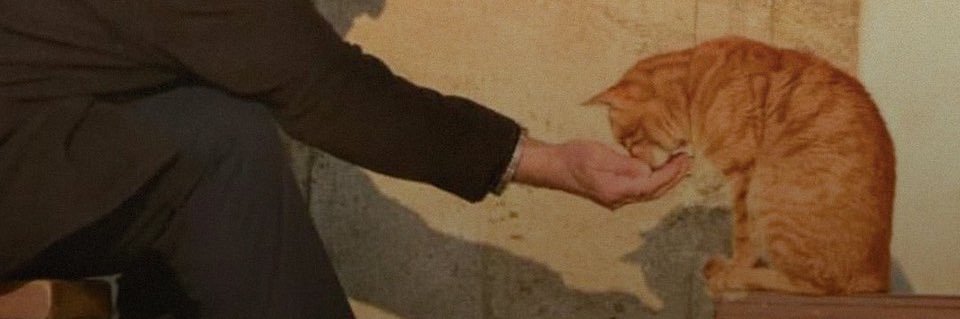 usermode01's profile banner image