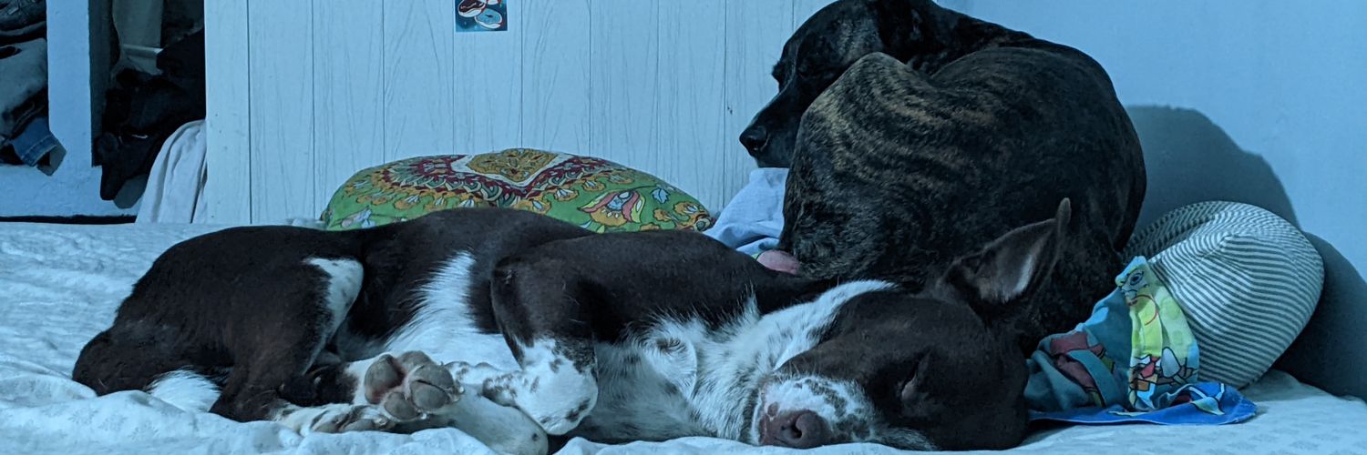 trozodealgo's profile banner image