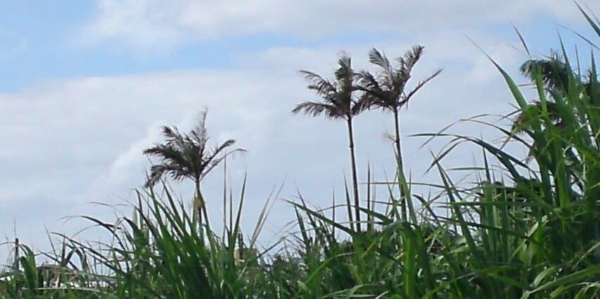 chikayamashiro's profile banner image