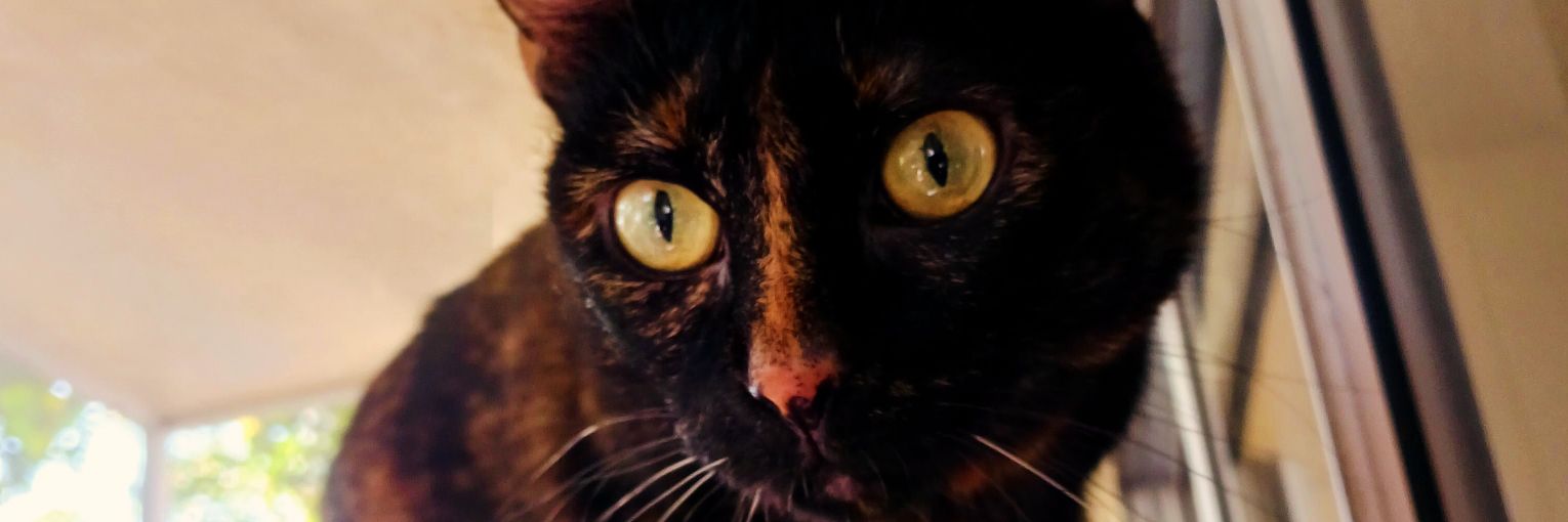 bflood40's profile banner image