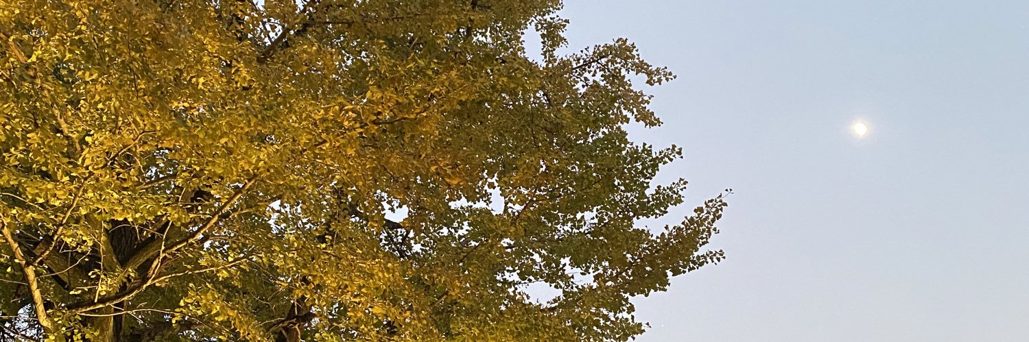 reonn077's profile banner image