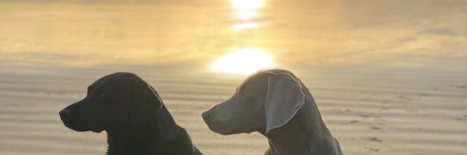 mary_emms's profile banner image