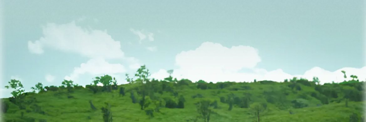 m o m o banner