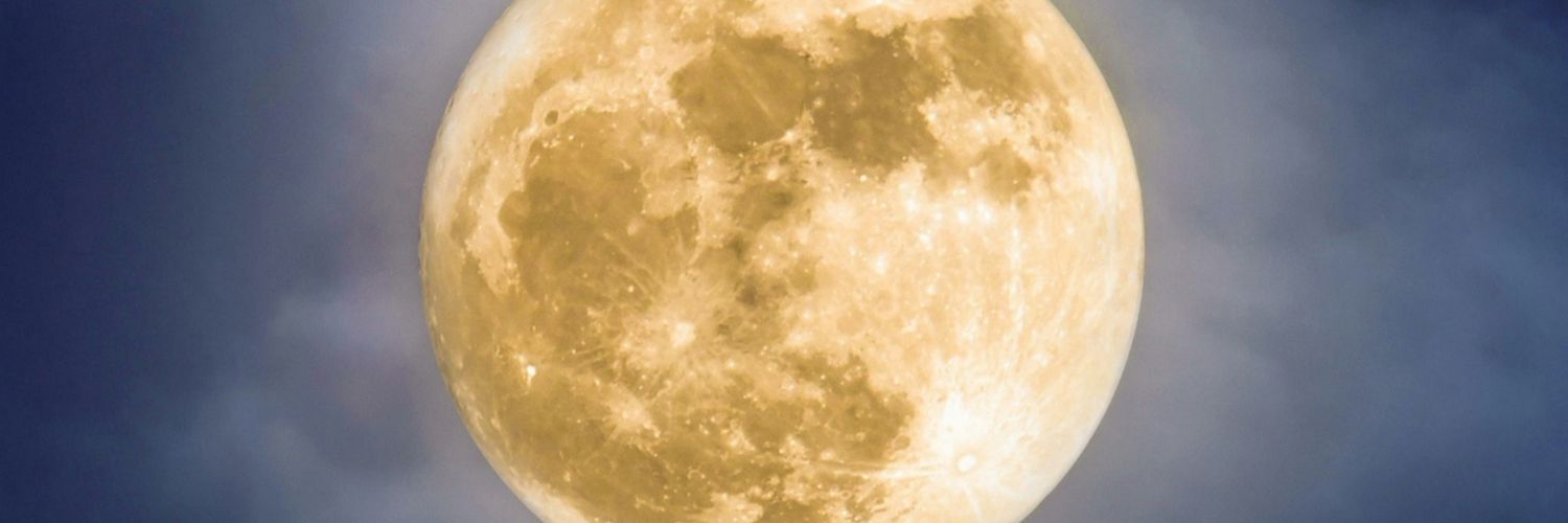 selamserdar's profile banner image