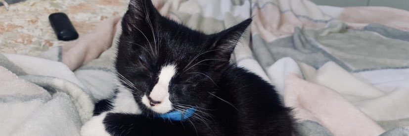heeeybeeee's profile banner image