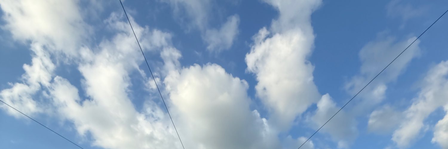 EliseAmes_'s profile banner image
