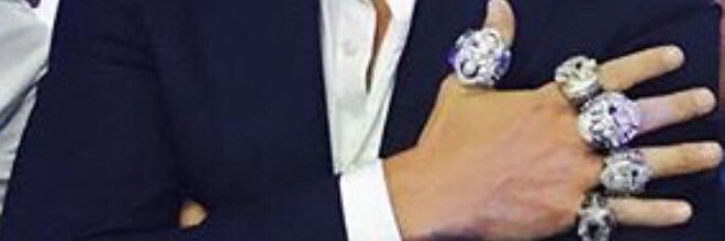 SilverFox banner