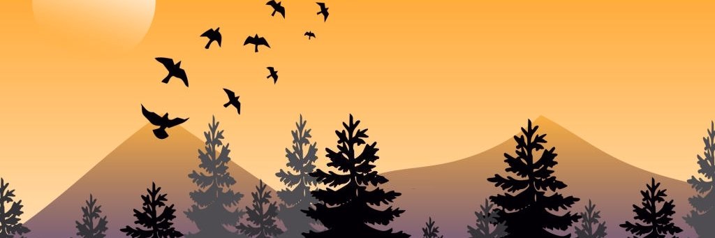 wOOllyBro's profile banner image