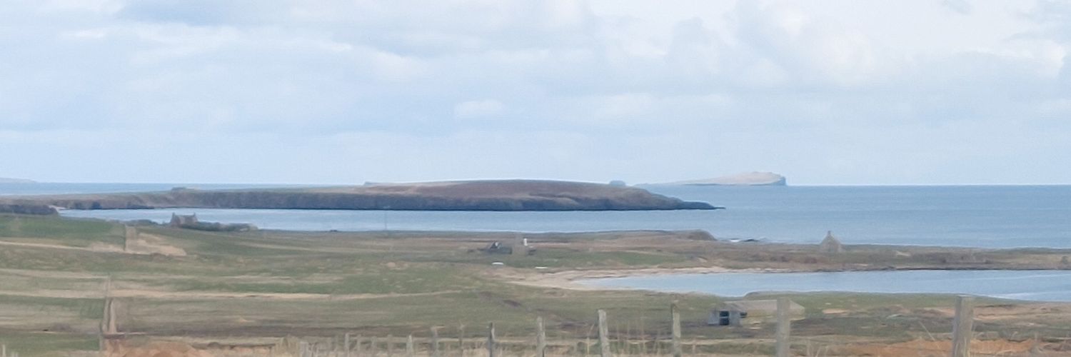 Michele Nicholls banner