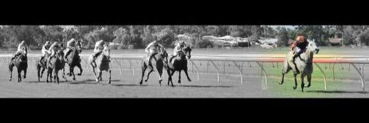 thommo19974's profile banner image