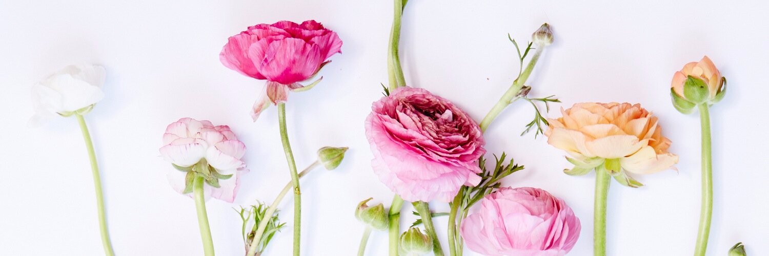 bethbrown2502's profile banner image