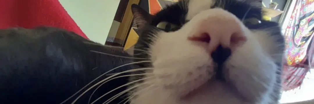 babinhamm's profile banner image