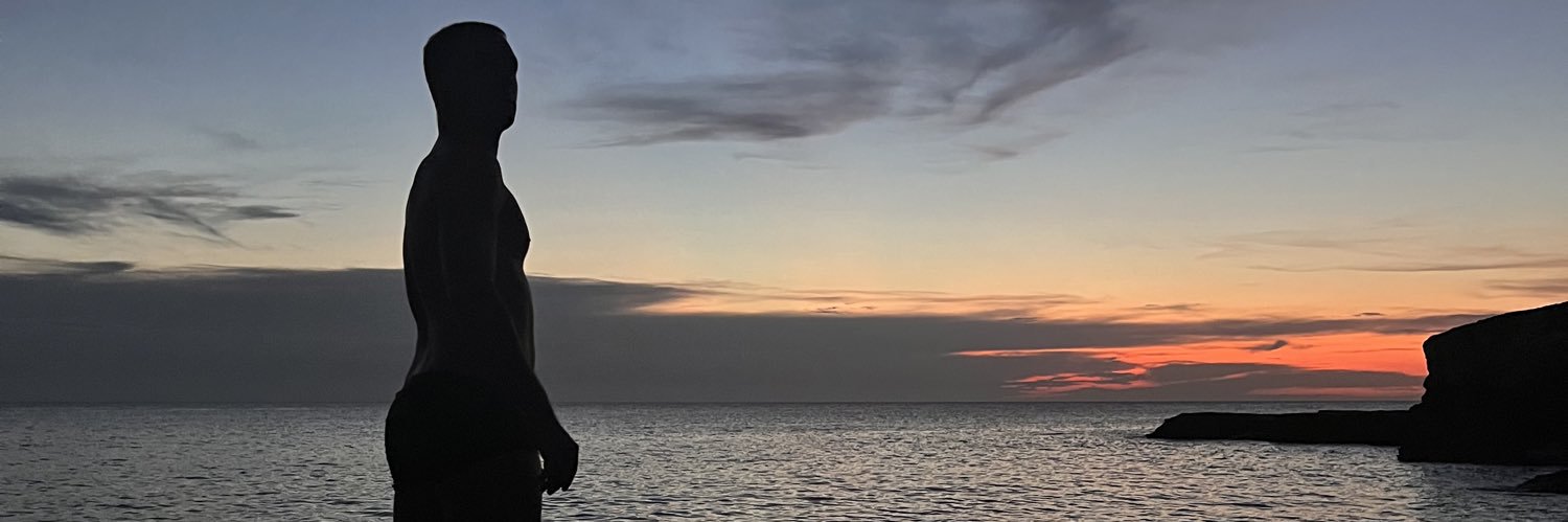 D0689's profile banner image
