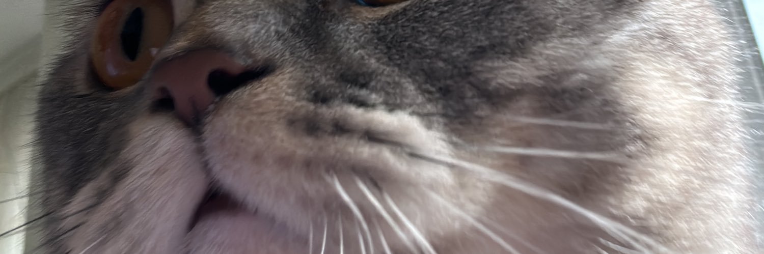defneiscimen's profile banner image