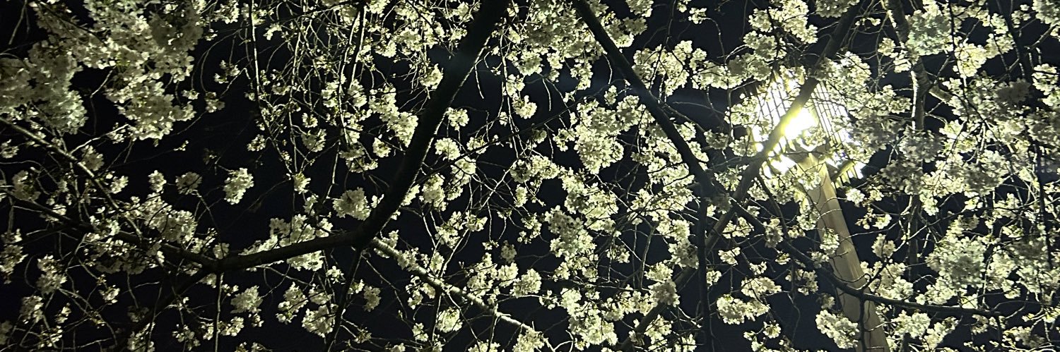 Yuga_ebi2's profile banner image