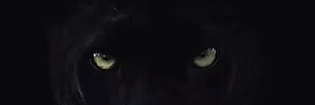 Gerardlopezr's profile banner image