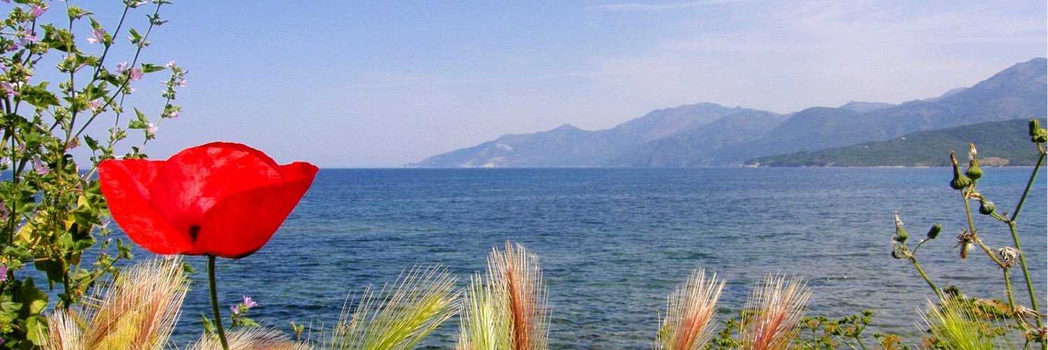 Nicolas Baldeyrou banner