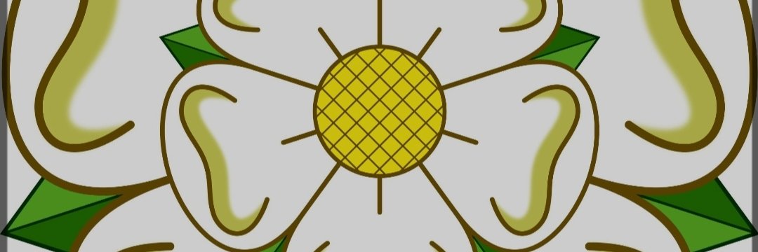 mazraz's profile banner image